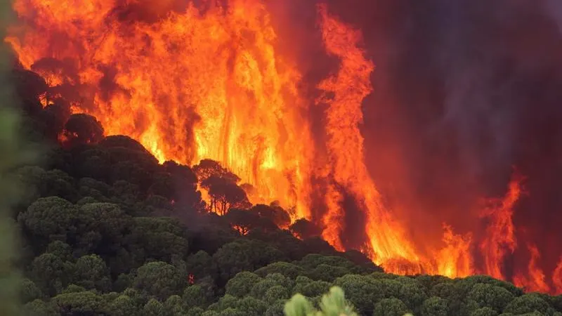 Incendio en Moguer (Huelva)