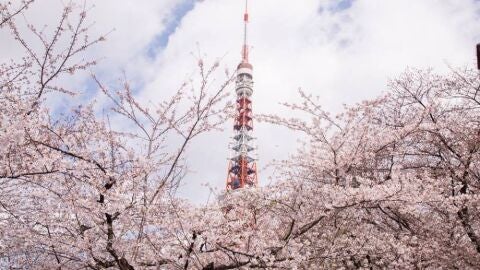 Celebra el 60 aniversario de la Torre de Tokio 