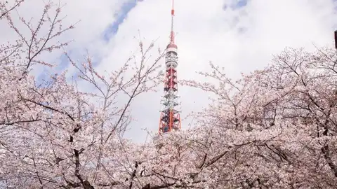 Torre de Tokio Celebra el 60 aniversario de la Torre de Tokio