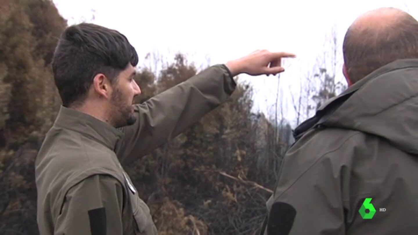 Agentes forestales de Galicia