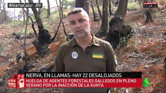 guarda gallega guarda gallega