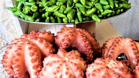 Pulpo
