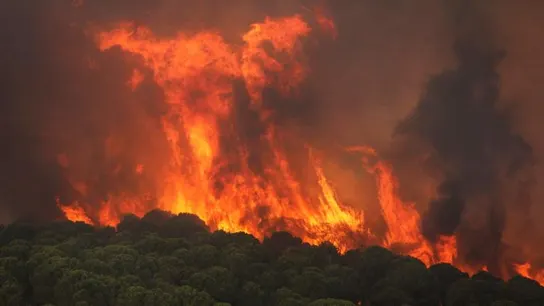 Activado el nivel 1 de Emergencias por un incendio forestal declarado en Nerva Activado el nivel 1 de Emergencias por un incendio forestal declarado en Nerva