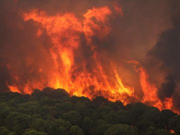 Activado el nivel 1 de Emergencias por un incendio forestal declarado en Nerva Activado el nivel 1 de Emergencias por un incendio forestal declarado en Nerva