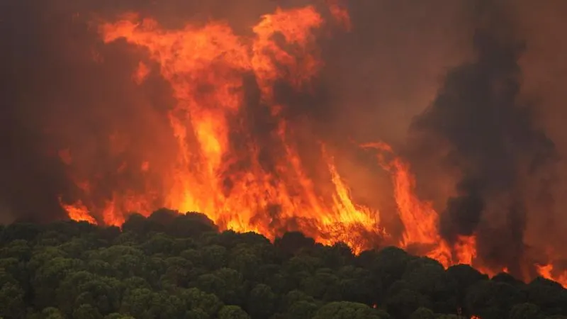 Activado el nivel 1 de Emergencias por un incendio forestal declarado en Nerva Activado el nivel 1 de Emergencias por un incendio forestal declarado en Nerva