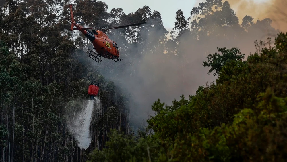 Incendio en El Algarve