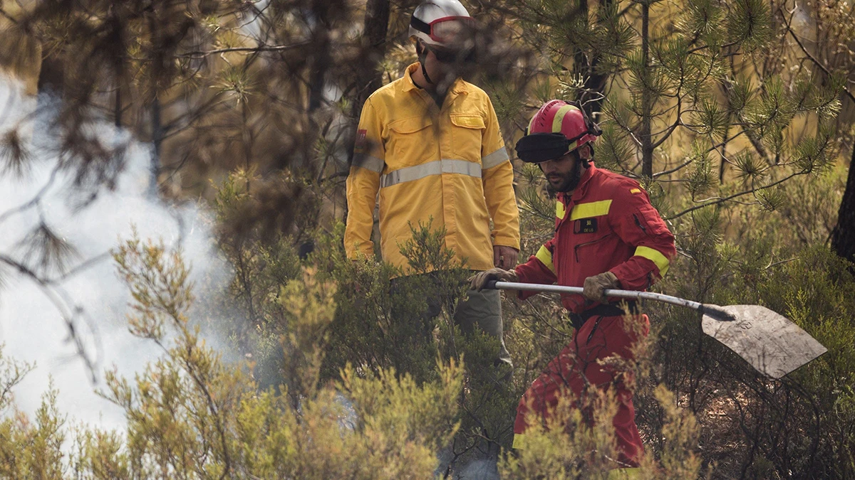 Efectivos de la UME trabajan en Nerva para controlar el incendio Efectivos de la UME trabajan en Nerva para controlar el incendio