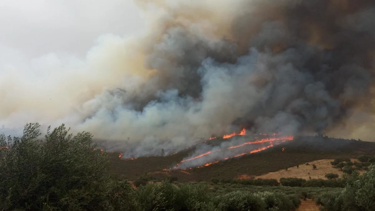 Incendio en San Vicente Alcántara, en Badajoz