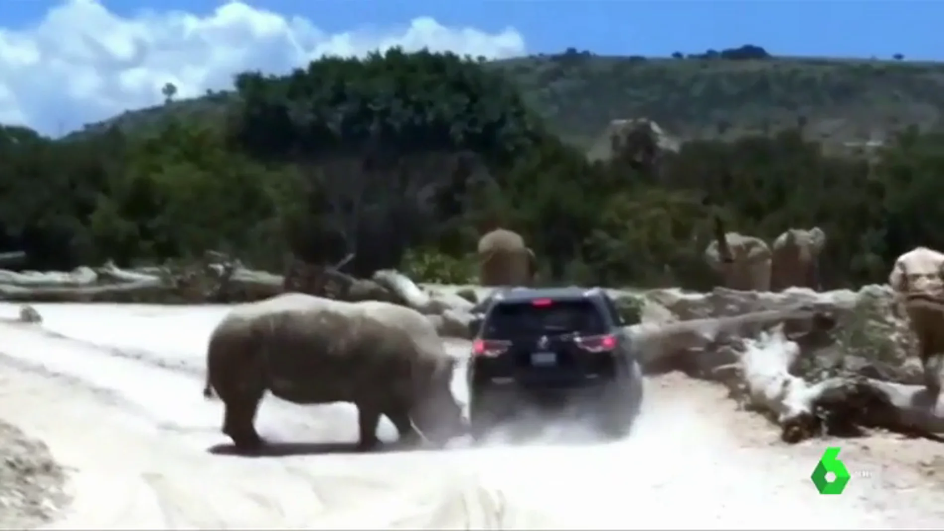 Un rinoceronte embiste a un coche con una familia dentro en un parque de México 