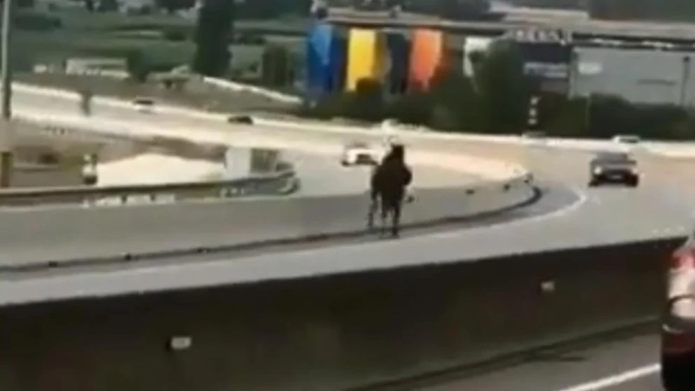 Caballo desbocado en una autovía de Barcelona