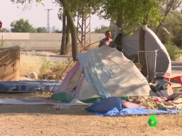 Las condiciones de los temporeros en España. Las condiciones de los temporeros en España.