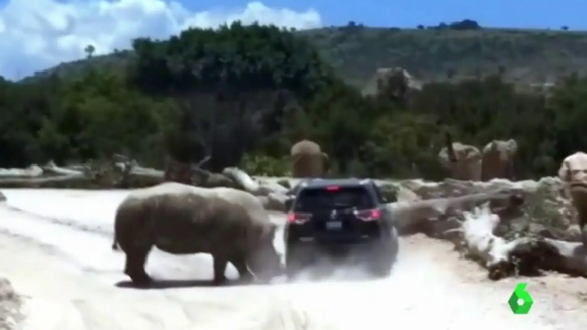¡Un susto de muerte! Un rinoceronte embiste el vehículo de una familia en un safari