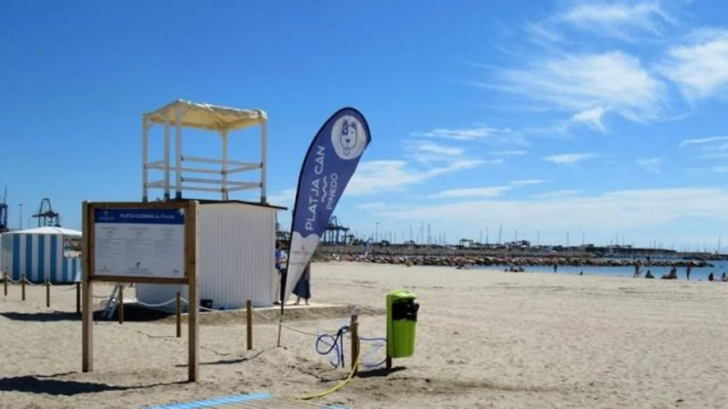 Imagen de archivo una zona de la playa de Pinedo facilitada por el Ayuntamiento de Valencia.