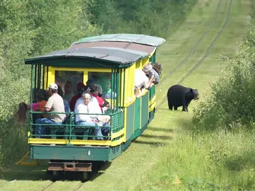 Tahquamenon Falls Train Tahquamenon Falls Train