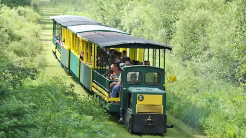 Tahquamenon Falls Train Aventura en familia en Michigan