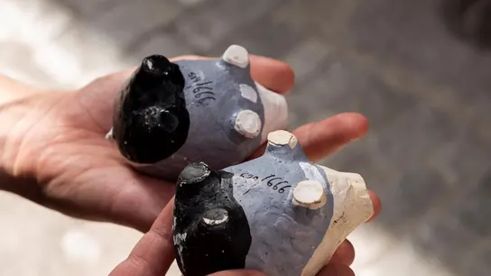 Pequeños cerdos numerados hasta 666, colocados de forma anónima en las calles de Toledo Pequeños cerdos numerados hasta 666, colocados de forma anónima en las calles de Toledo