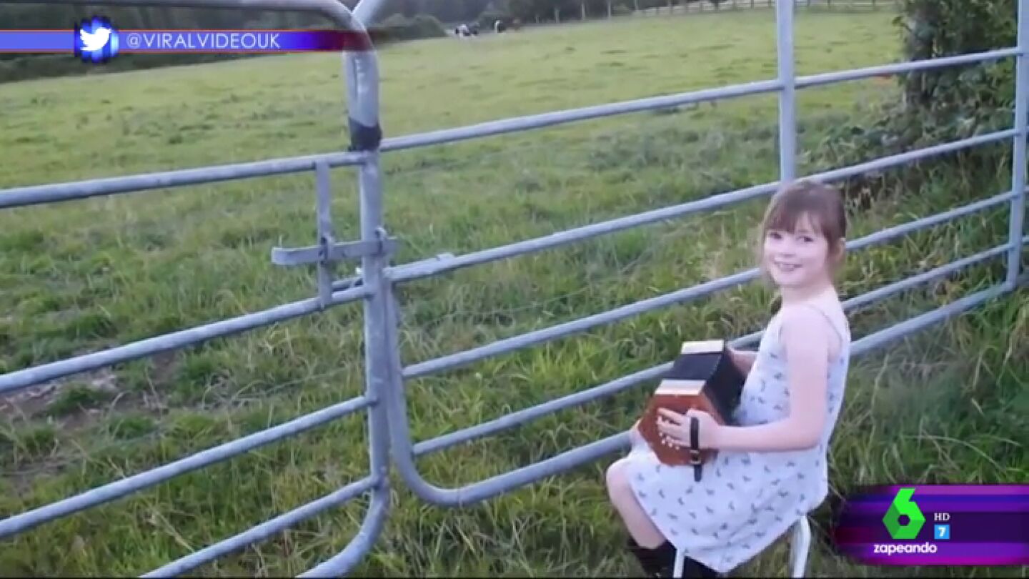 V&iacute;deo viral en Zapeando