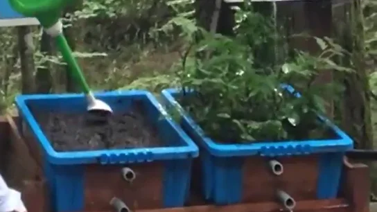 El increíble experimento que demuestra el efecto negativo de la deforestación en las inundaciones El increíble experimento que demuestra el efecto negativo de la deforestación en las inundaciones