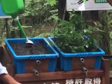 El increíble experimento que demuestra el efecto negativo de la deforestación en las inundaciones El increíble experimento que demuestra el efecto negativo de la deforestación en las inundaciones