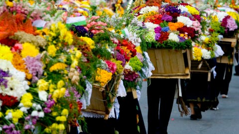 Las ciudades que más florecen en el mundo