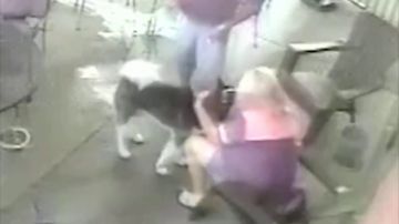 Una mujer se somete a una cirugía facial después de que un perro le mordiera la cara