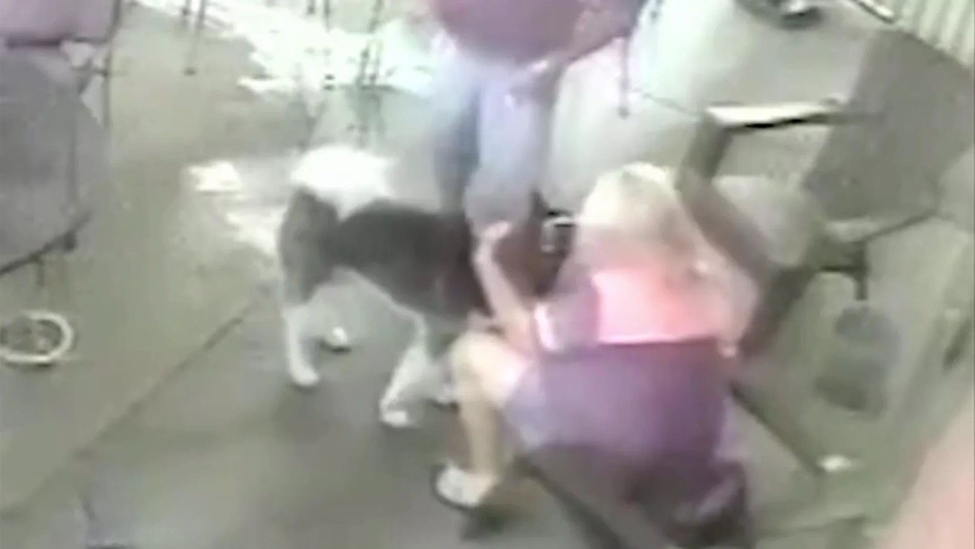 Una mujer se somete a una cirugía facial después de que un perro le mordiera la cara