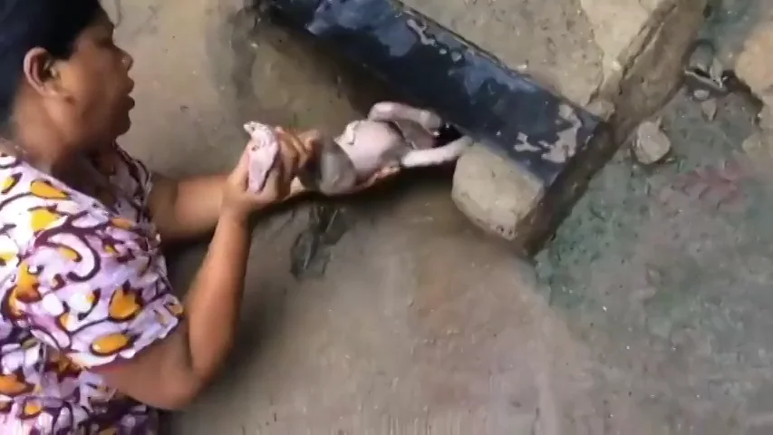 Una mujer rescata a un bebé que estaba dentro de una alcantarilla Una mujer rescata a un bebé que estaba dentro de una alcantarilla