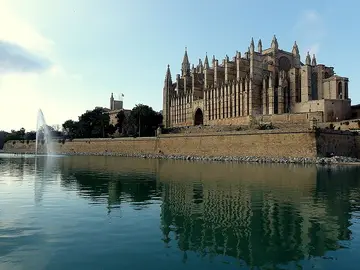 Palma Palma