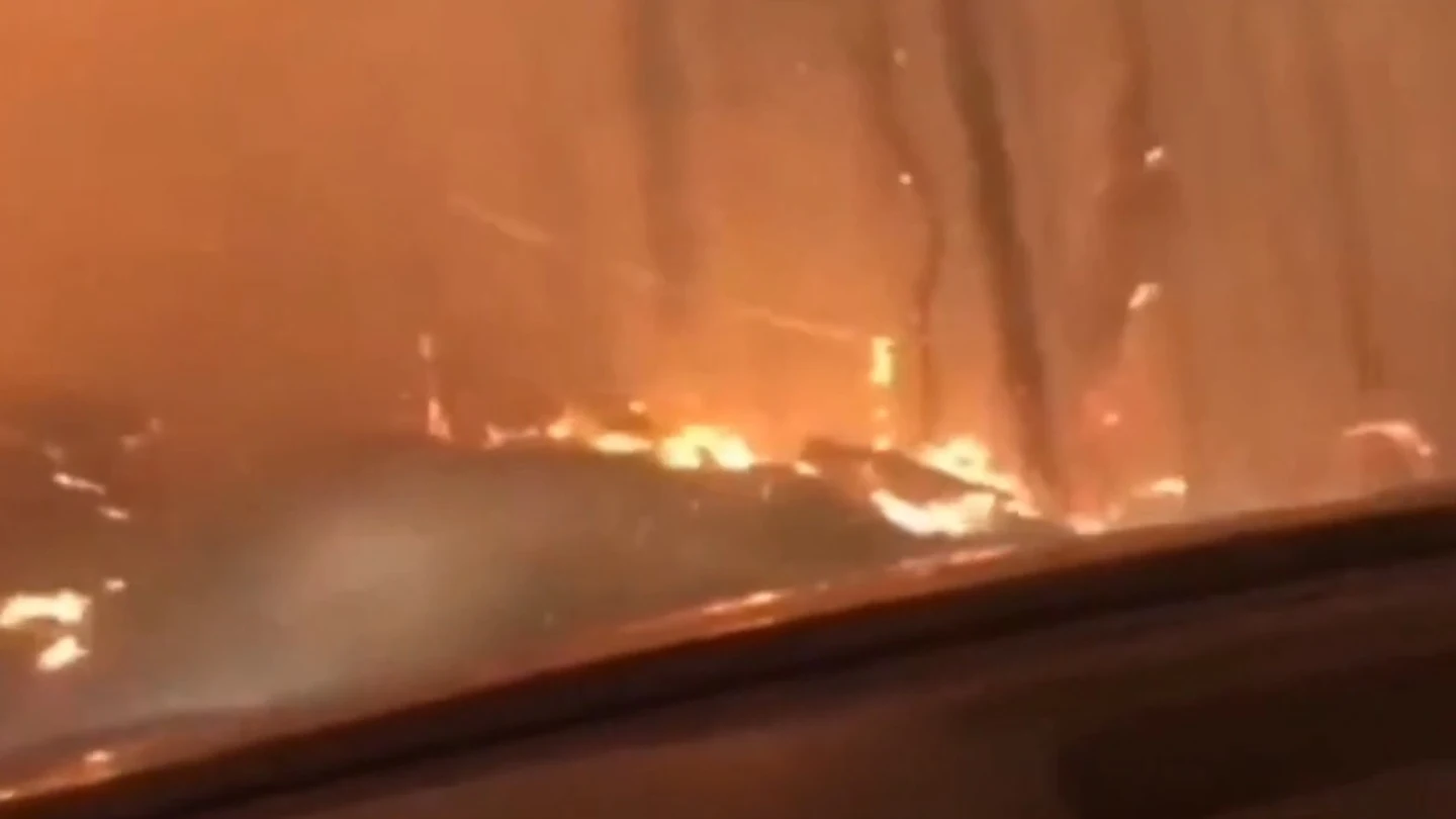 Un padre y un hijo huyen con su vehículo de un incendio en EEUU Un padre y un hijo huyen con su vehículo de un incendio en EEUU