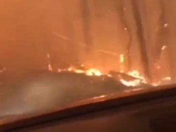 Un padre y un hijo huyen con su vehículo de un incendio en EEUU Un padre y un hijo huyen con su vehículo de un incendio en EEUU