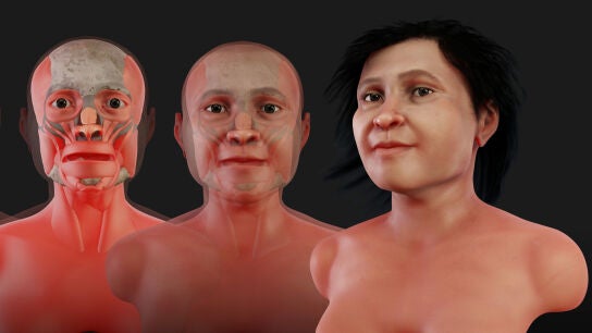 Reconstrucci&oacute;n 3D del rosto de la Mujer de Naharon