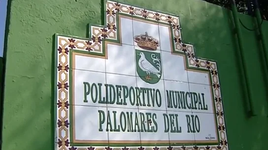 Polideportivo municipal Palomares del Río Polideportivo municipal Palomares del Río
