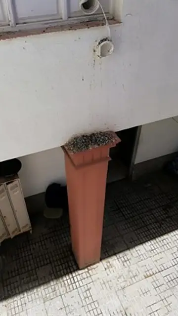 Suciedad en la comisaría de Policía de La Laguna Suciedad en la comisaría de Policía de La Laguna