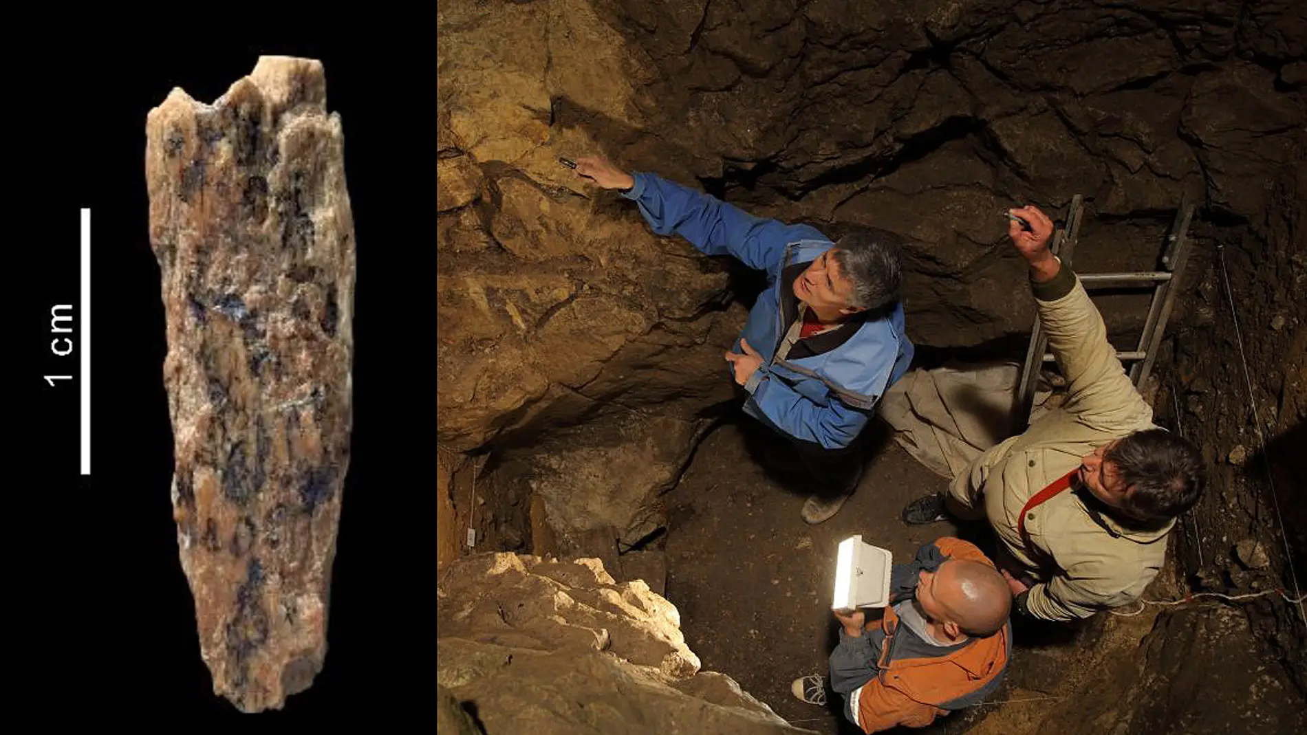 Descubiertos los restos de una hija de neandertal y denisovano