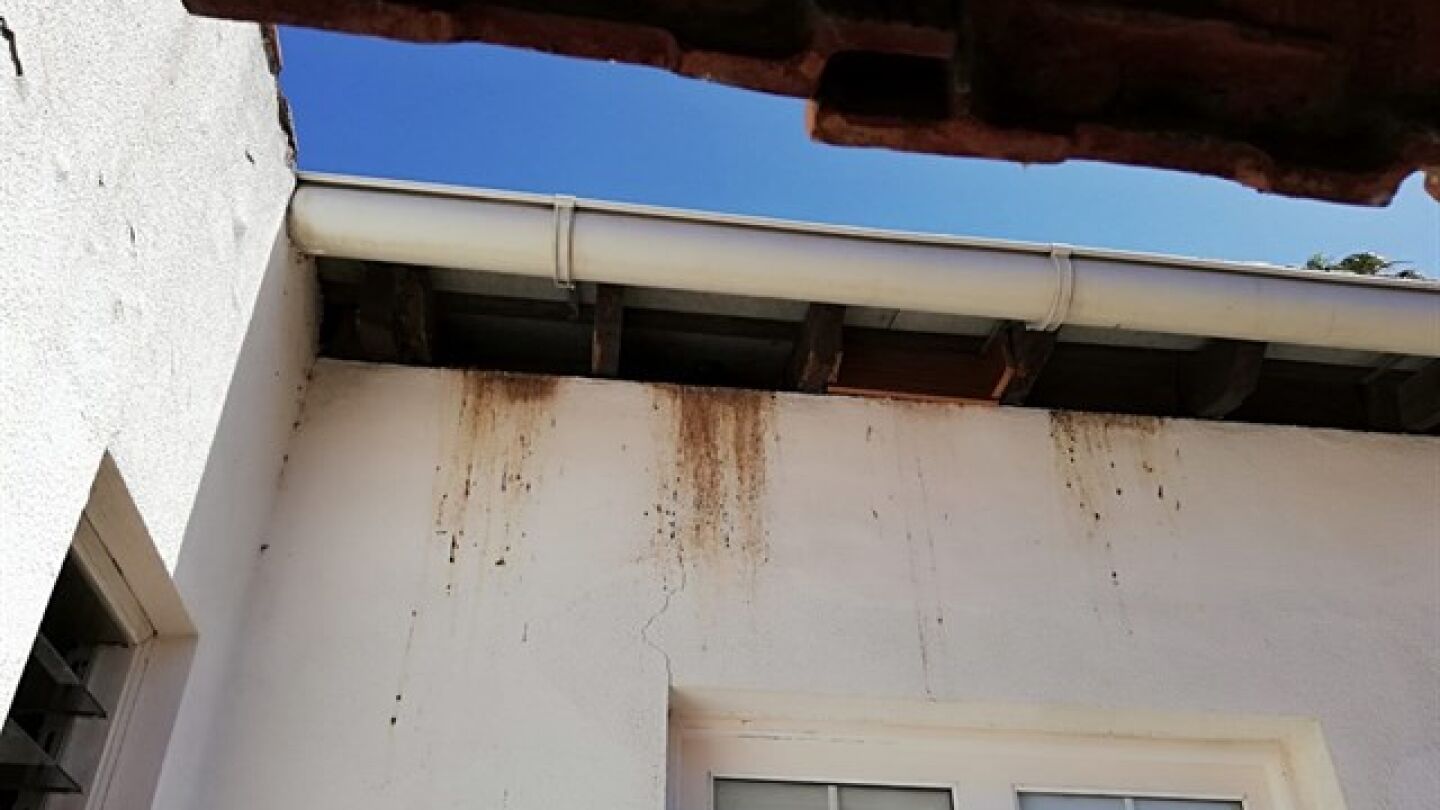 Restos de excrementos en la comisar&iacute;a de La Laguna