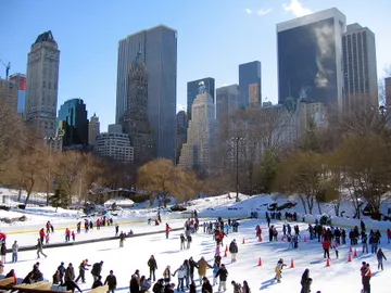Nueva York en invierno Nueva York en invierno