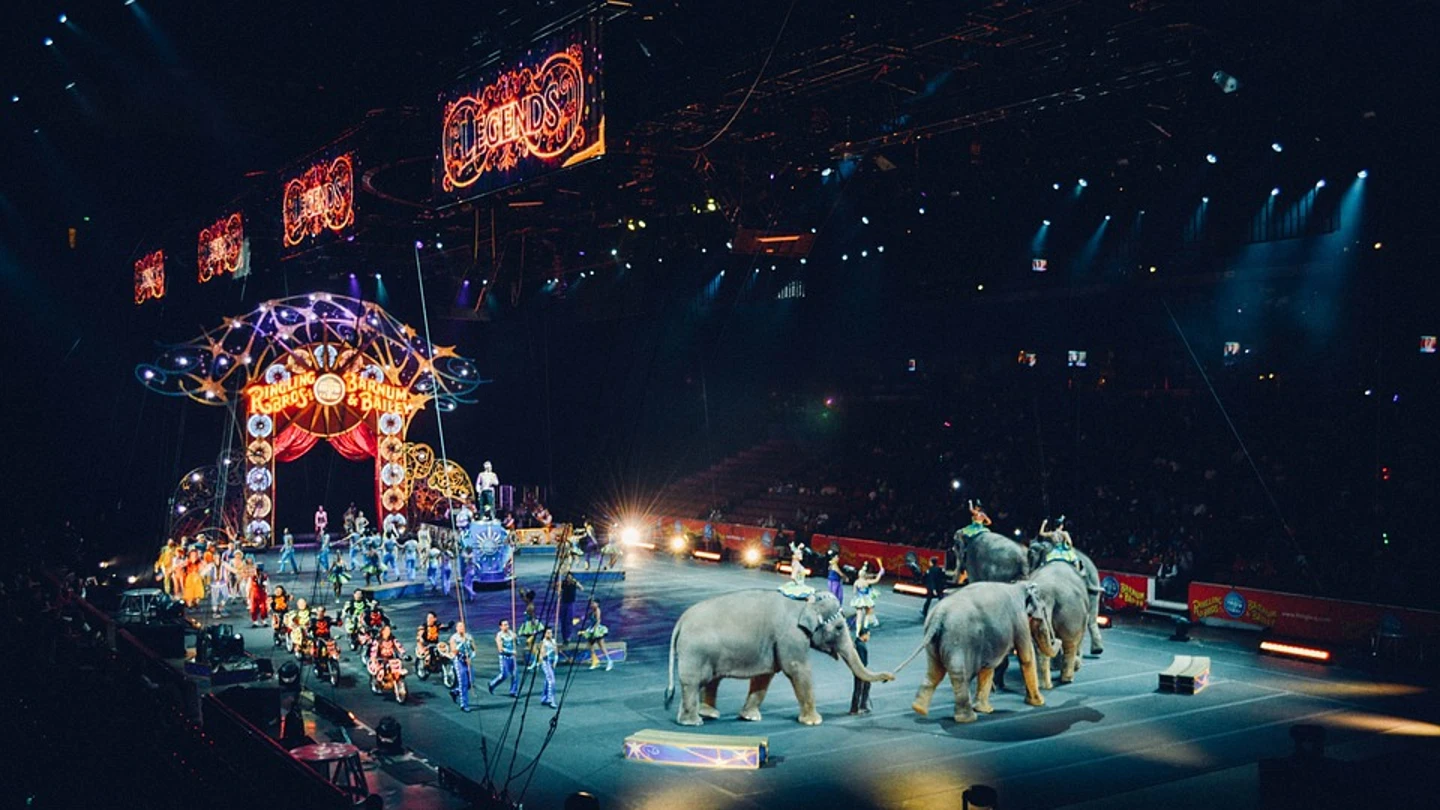 Imagen de archivo de un circo Imagen de archivo de un circo