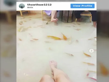 La cafetería inundada en la que peces nadan a tus pies La cafetería inundada en la que peces nadan a tus pies