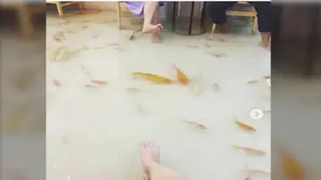 La cafetería inundada en la que peces nadan a tus pies