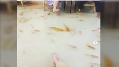 La cafetería inundada en la que peces nadan a tus pies La cafetería inundada en la que peces nadan a tus pies