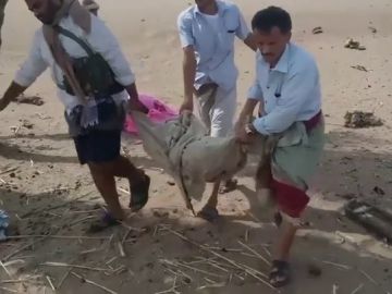 Ataque aéreo a niños en Yemen Ataque aéreo a niños en Yemen