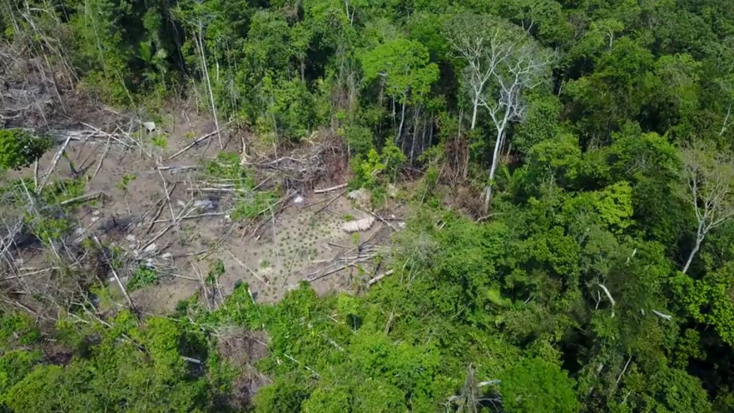Localizan una nueva tribu amaz&oacute;nica gracias a las im&aacute;genes de un dron