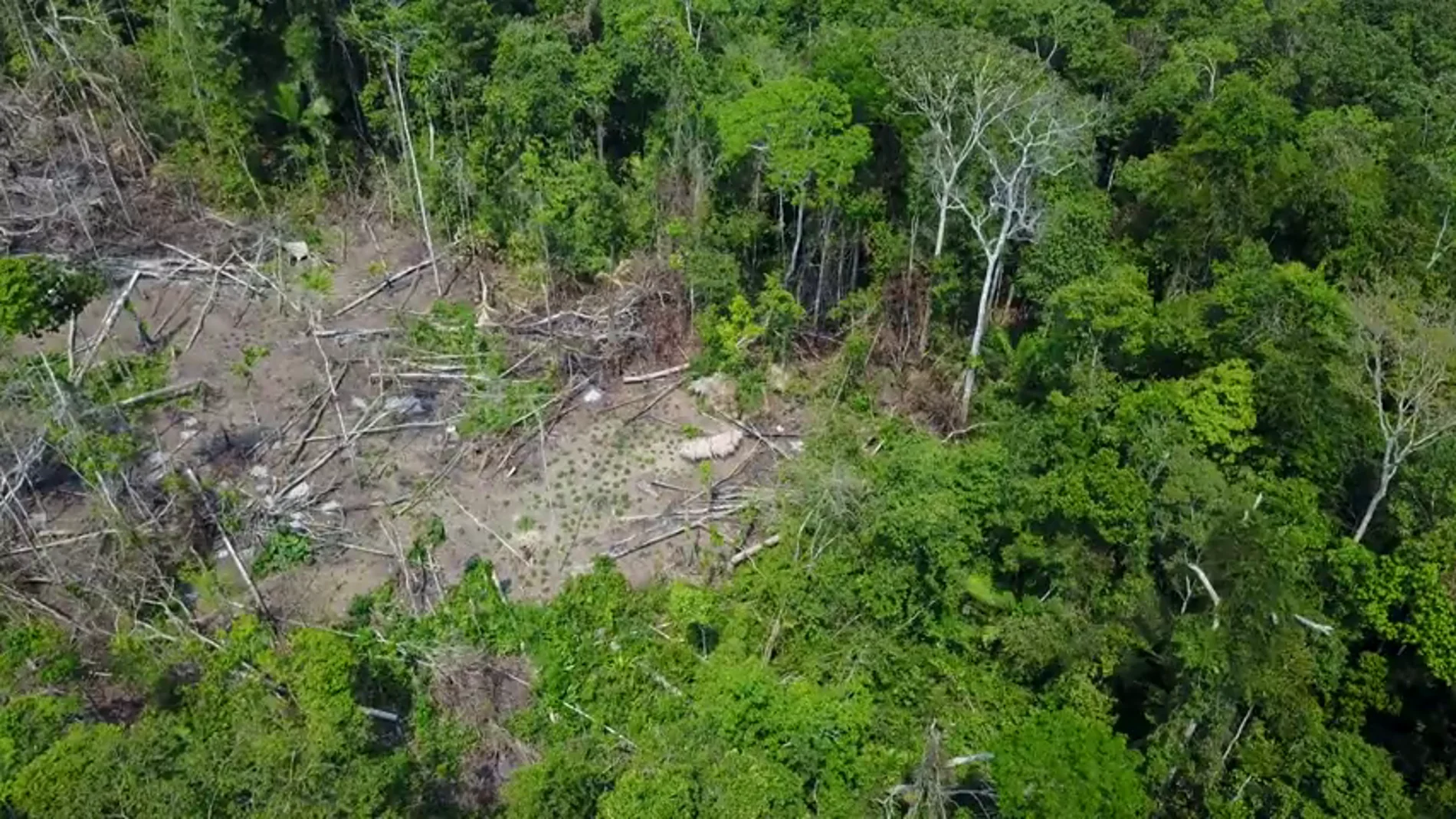 Localizan una nueva tribu amazónica gracias a las imágenes de un dron