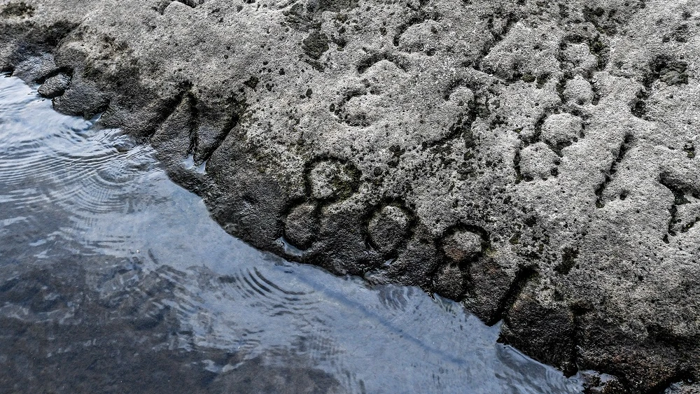 Las 'piedras del hambre'