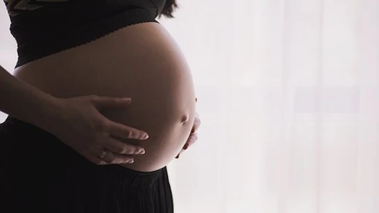 Imagen de archivo de una mujer embarazada Imagen de archivo de una mujer embarazada