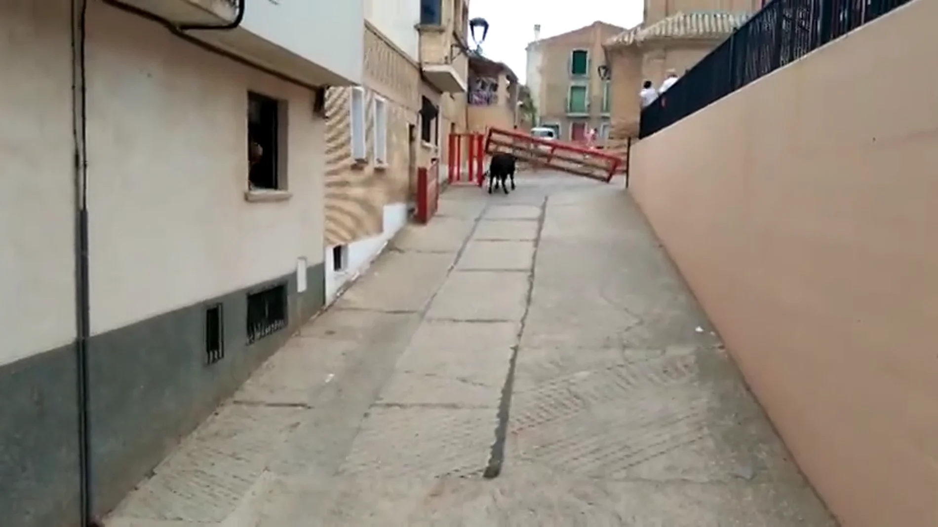 Un toro cornea a una mujer tras romper el vallado de un encierro en Milagro, Navarra