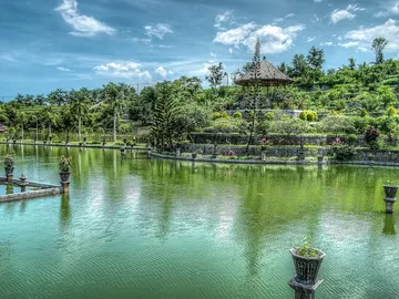 Bali Bali