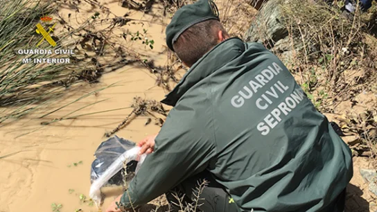 Un agente del Seprona Un agente del Seprona