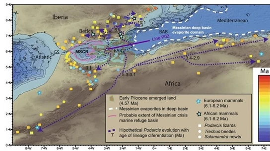 Archipiélago hundido en el Mar de Alborán Archipiélago hundido en el Mar de Alborán