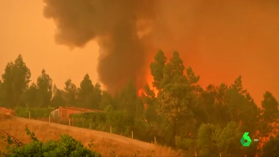 Incendio en Pedró-gao Grande Incendio en Pedró-gao Grande